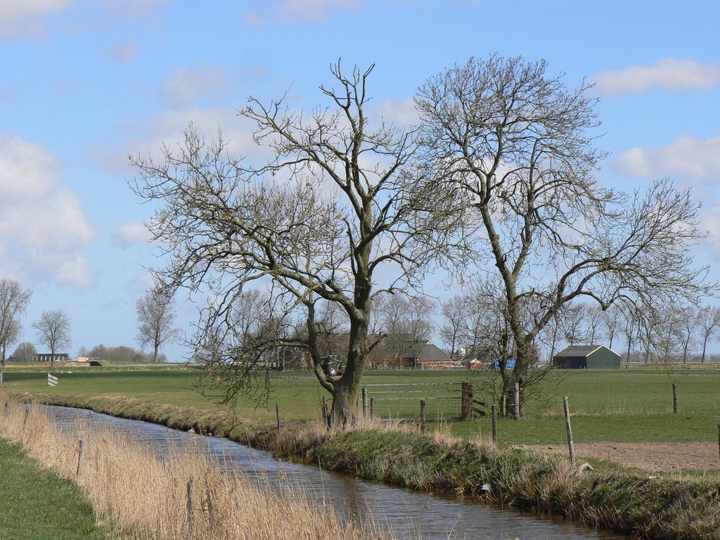 Groningen Buiten B&B Zuidhorn Екстер'єр фото