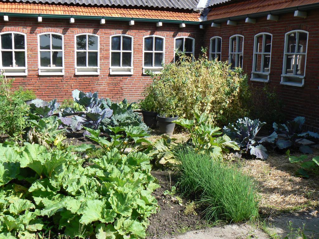 Groningen Buiten B&B Zuidhorn Екстер'єр фото
