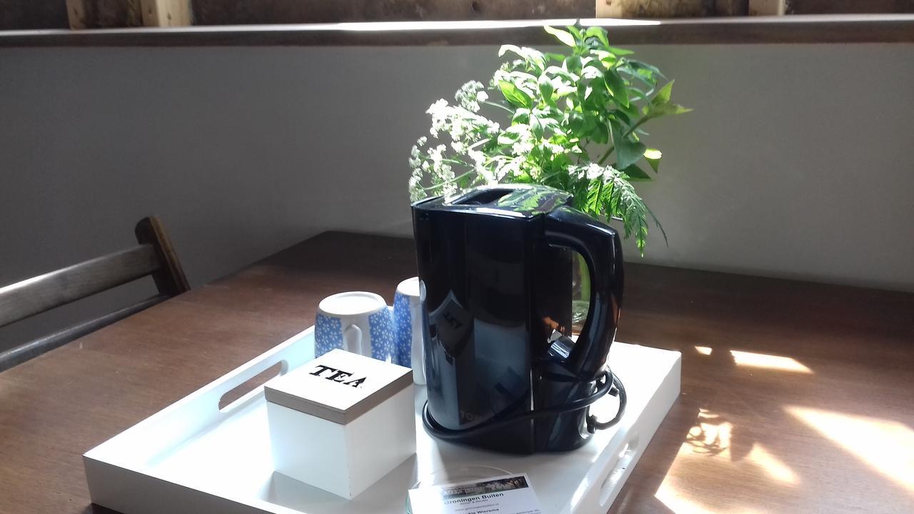 Groningen Buiten B&B Zuidhorn Екстер'єр фото